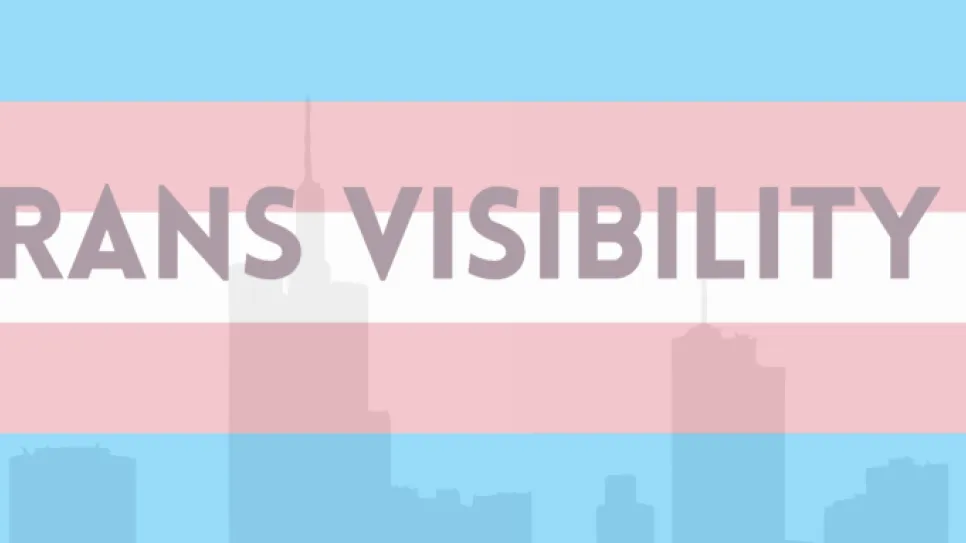 trans visibility_grafik