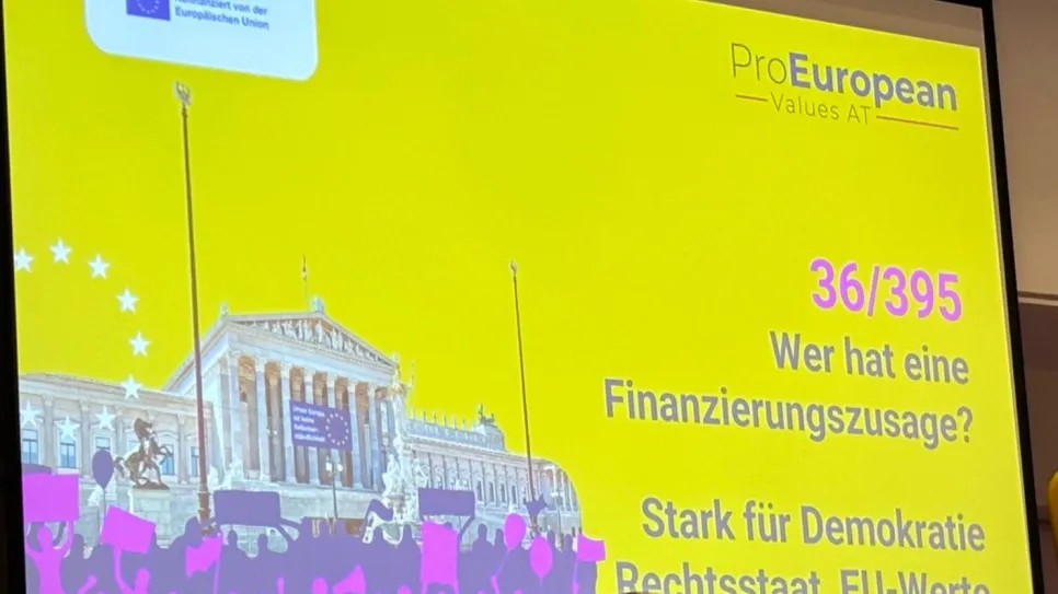 Gelbes Plakat mit EU-Gebäude, violetten Figuren und Text zu Demokratie und EU-Werten.