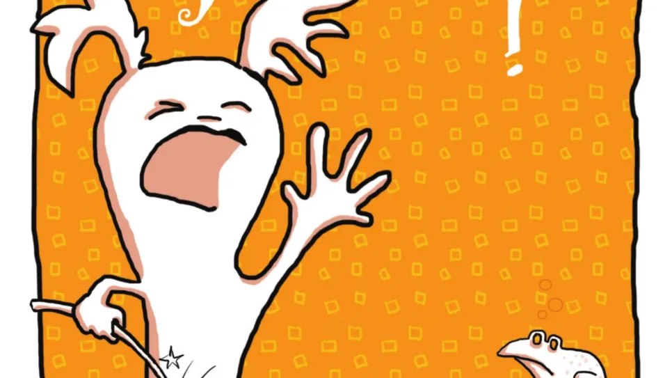Comic-Figur mit aufgeregtem Gesichtsausdruck auf orangefarbenem Hintergrund.