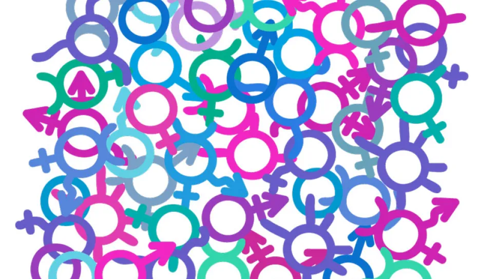 Bunte Gender-Symbole auf weißem Hintergrund, Text oben und unten.