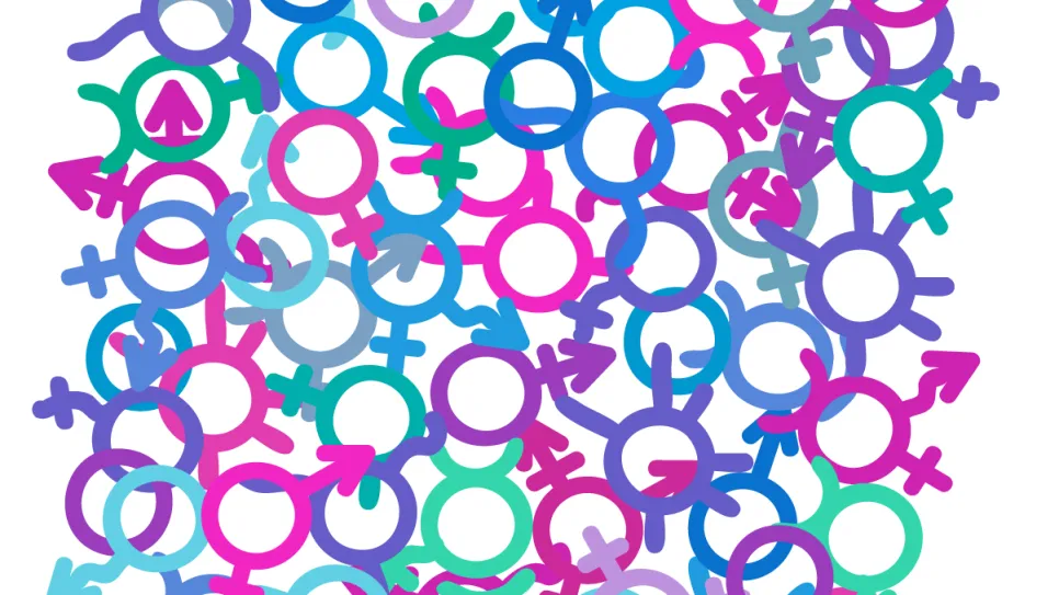 Bunte Gender-Symbole in verschiedenen Farben und Richtungen.