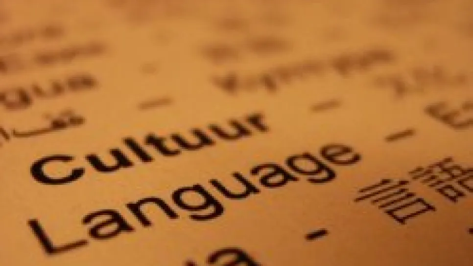 Sprachen in verschiedenen Schriftarten, Nahaufnahme.