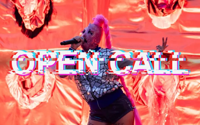 Deadline für den Open Call Glitch &amp; Leak