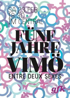 Bunte Gender-Symbole und großer Text "Fünf Jahre VIMÖ".