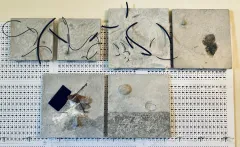 Sechs abstrakte Kunstwerke mit Texturen und Linien auf hellem Hintergrund.
